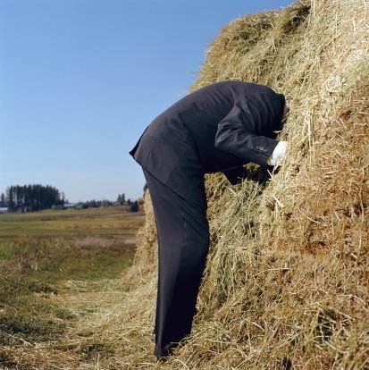 Imagen de búsqueda- buscando una aguja en un pajar